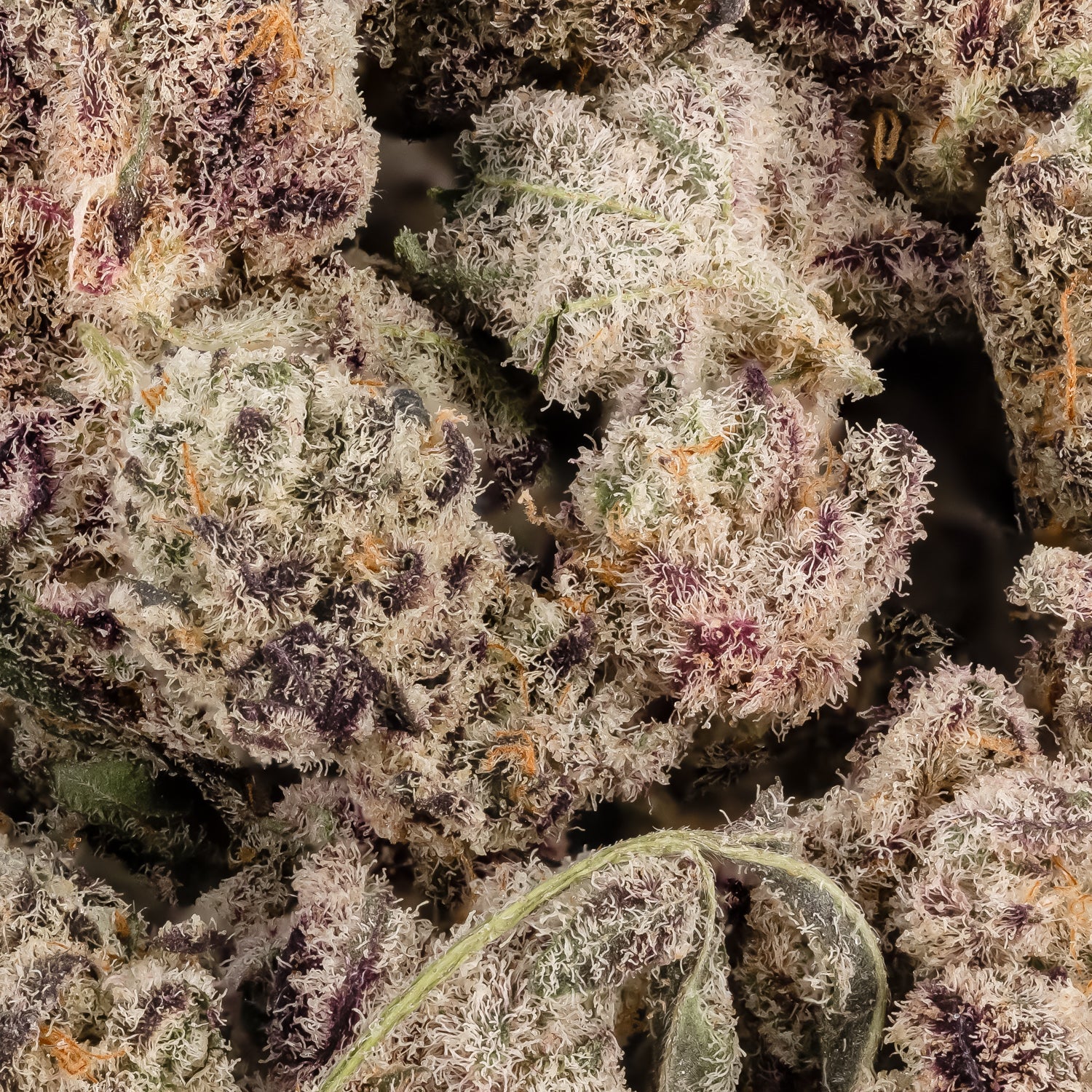 Black Milk (smalls) (Lucky Farms) - Image 2
