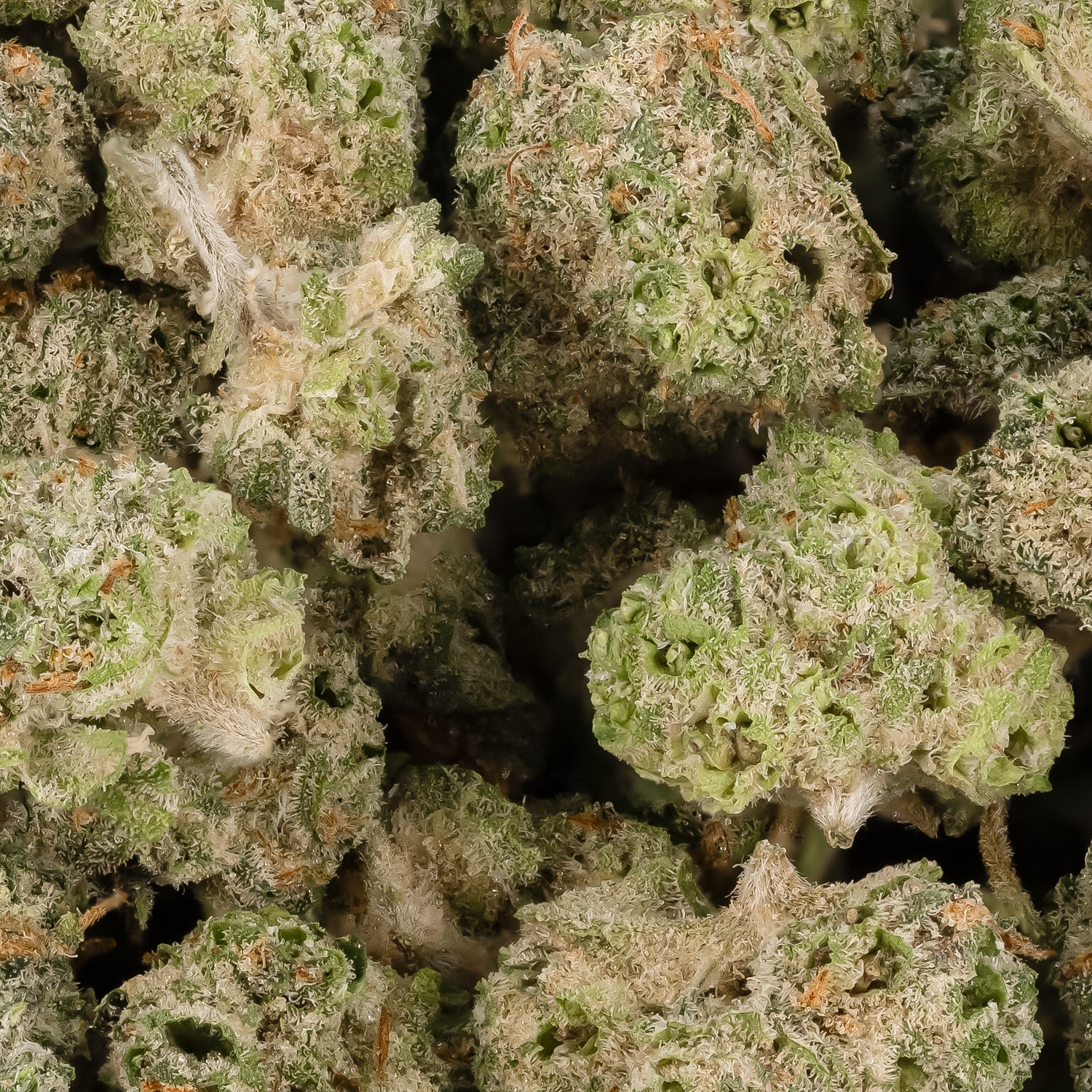 Blue Dream (Smalls)(Lucky Farms) - Image 3