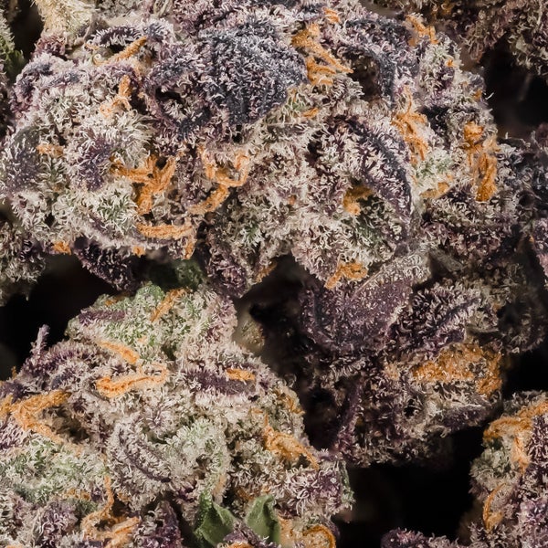 Blueberry (Smalls) (Lucky Farms) - Image 2