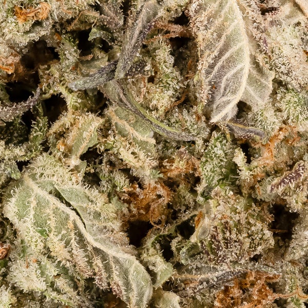 Comatose OG (Lucky Farms) - Image 4