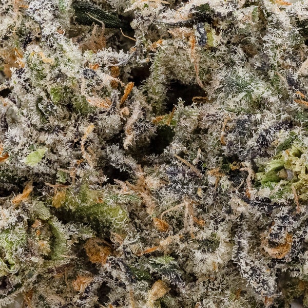 Cream D'Mint (Okanaganja) - Image 5