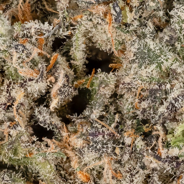 Cream D'Mint (Okanaganja) - Image 6