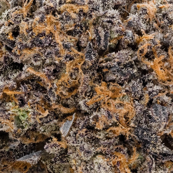 Da Funk (Jungle Ridge) - Image 5
