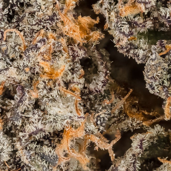 Da Funk (Jungle Ridge) - Image 6