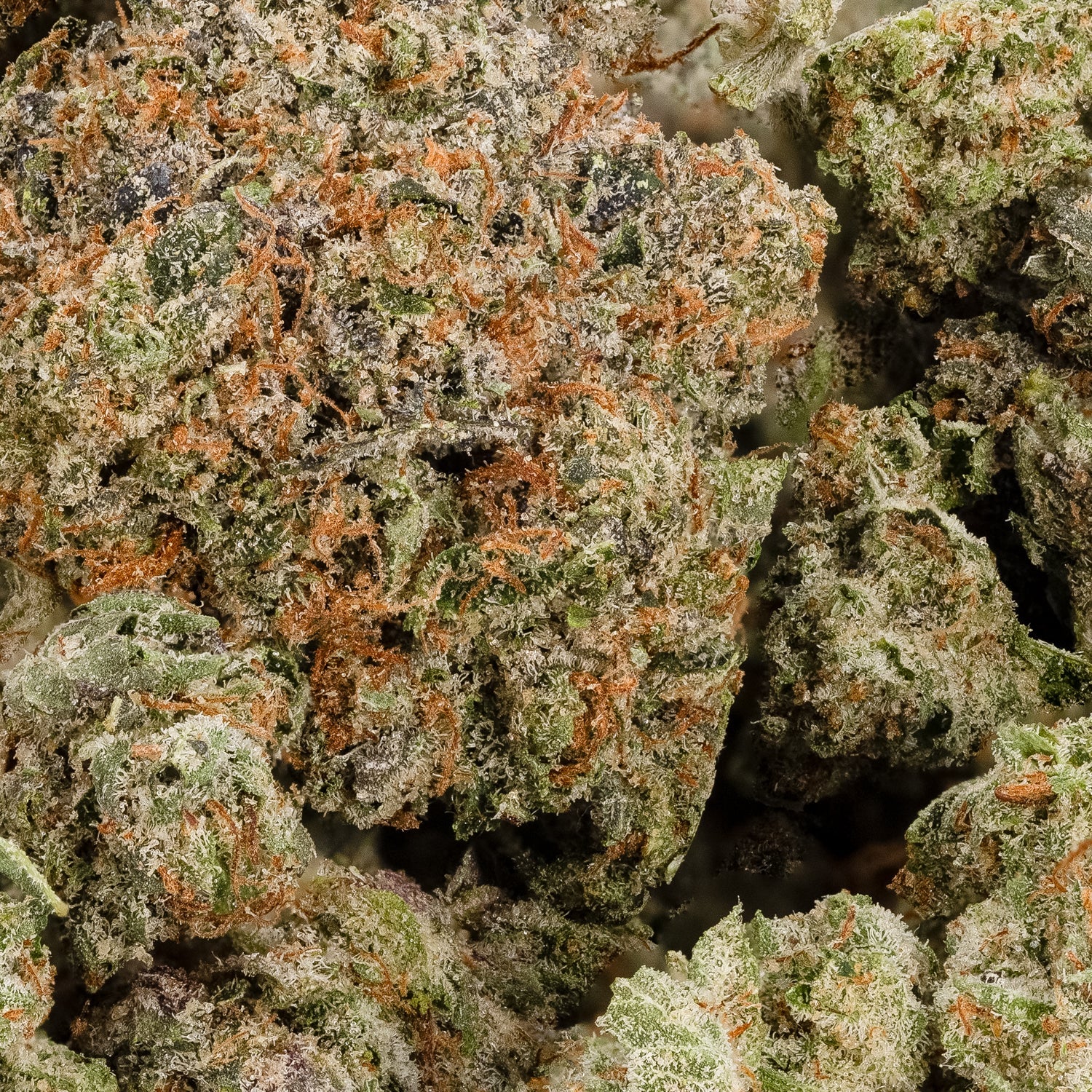 Death Bubba (smalls) (Lucky Farms) - Image 3