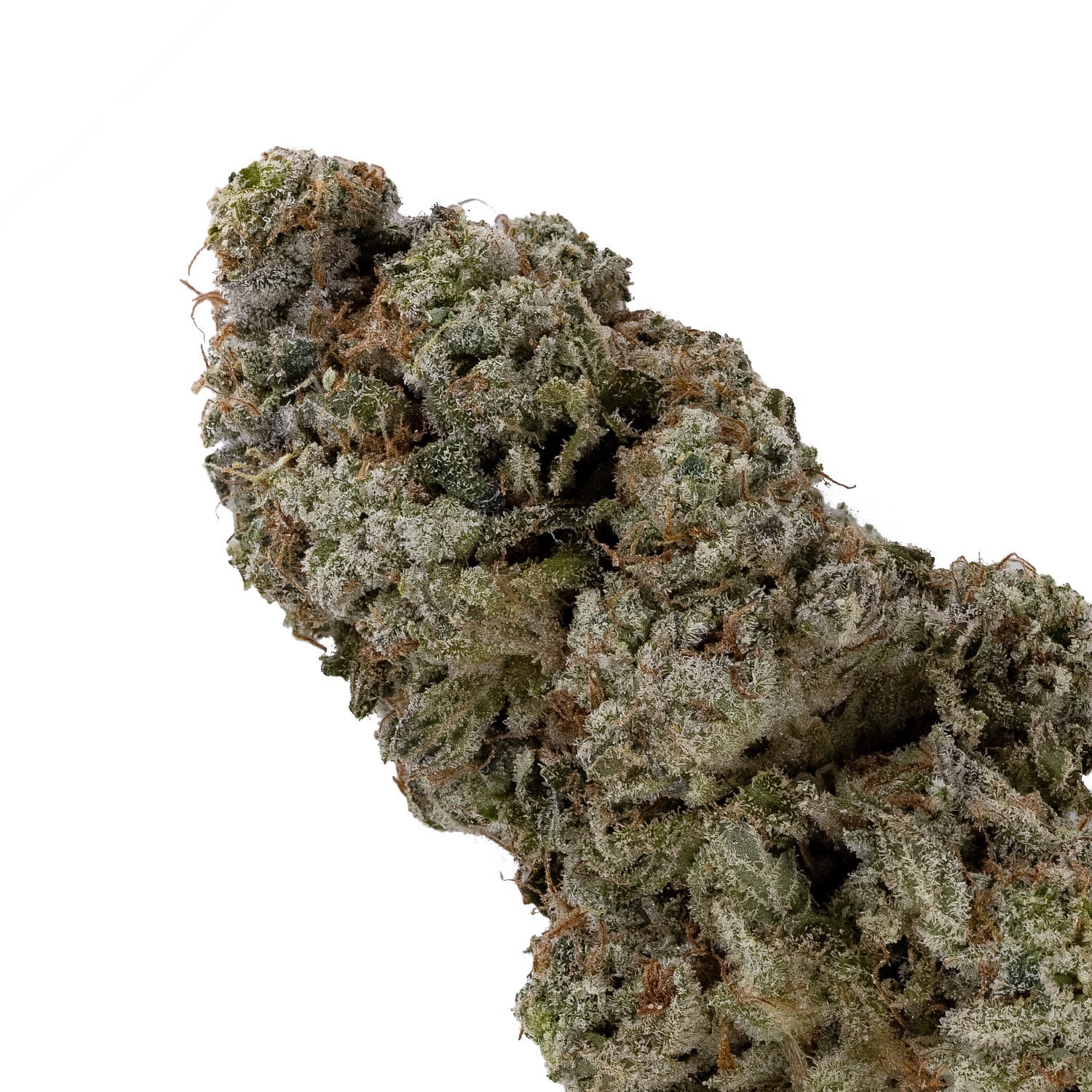 Death Chocolate Cookies (Jungle Ridge) - Image 3