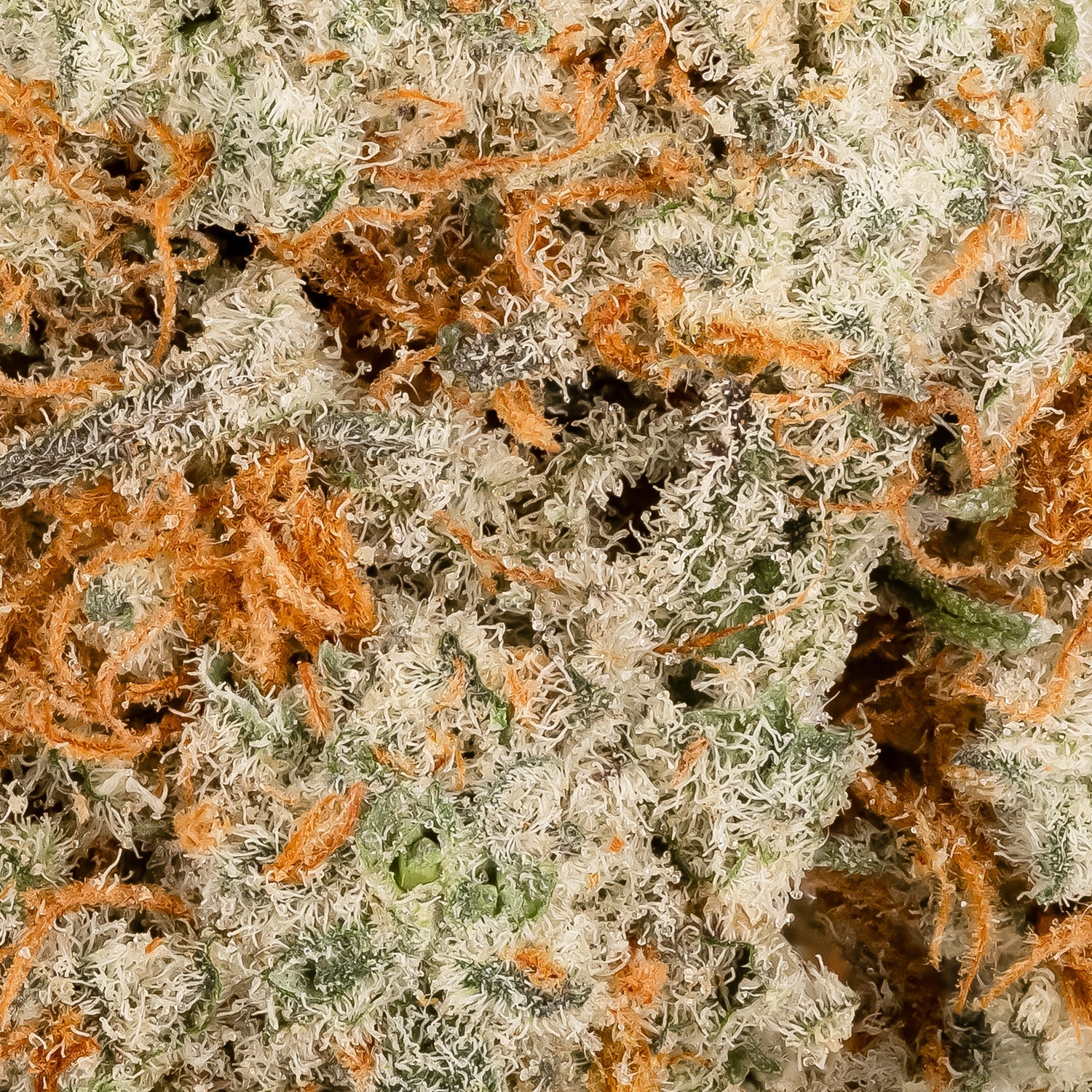 Donkey Butter (Lucky Farms) - Image 4