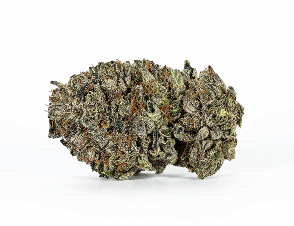 BC Legacy - Gangster Kush - Image 2