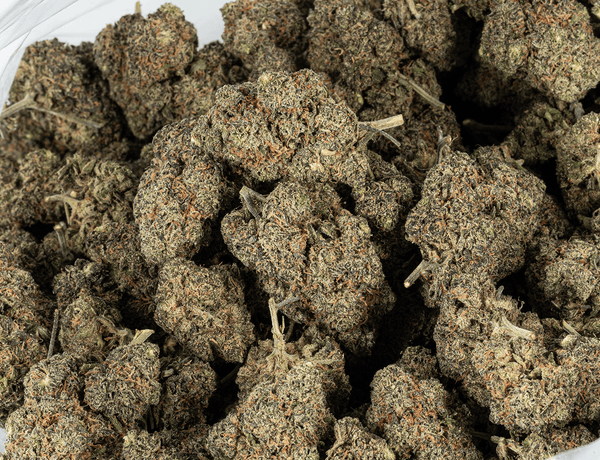 Astral Herbs - Goofiez - Image 4