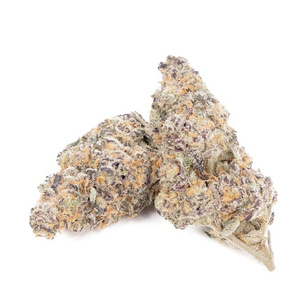 Garlic Sherbert (Lucky Farms)