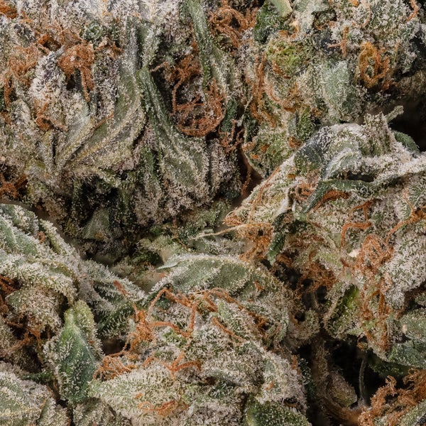 Gorilla Glue #4 (smalls) (Lucky Farms) - Image 3
