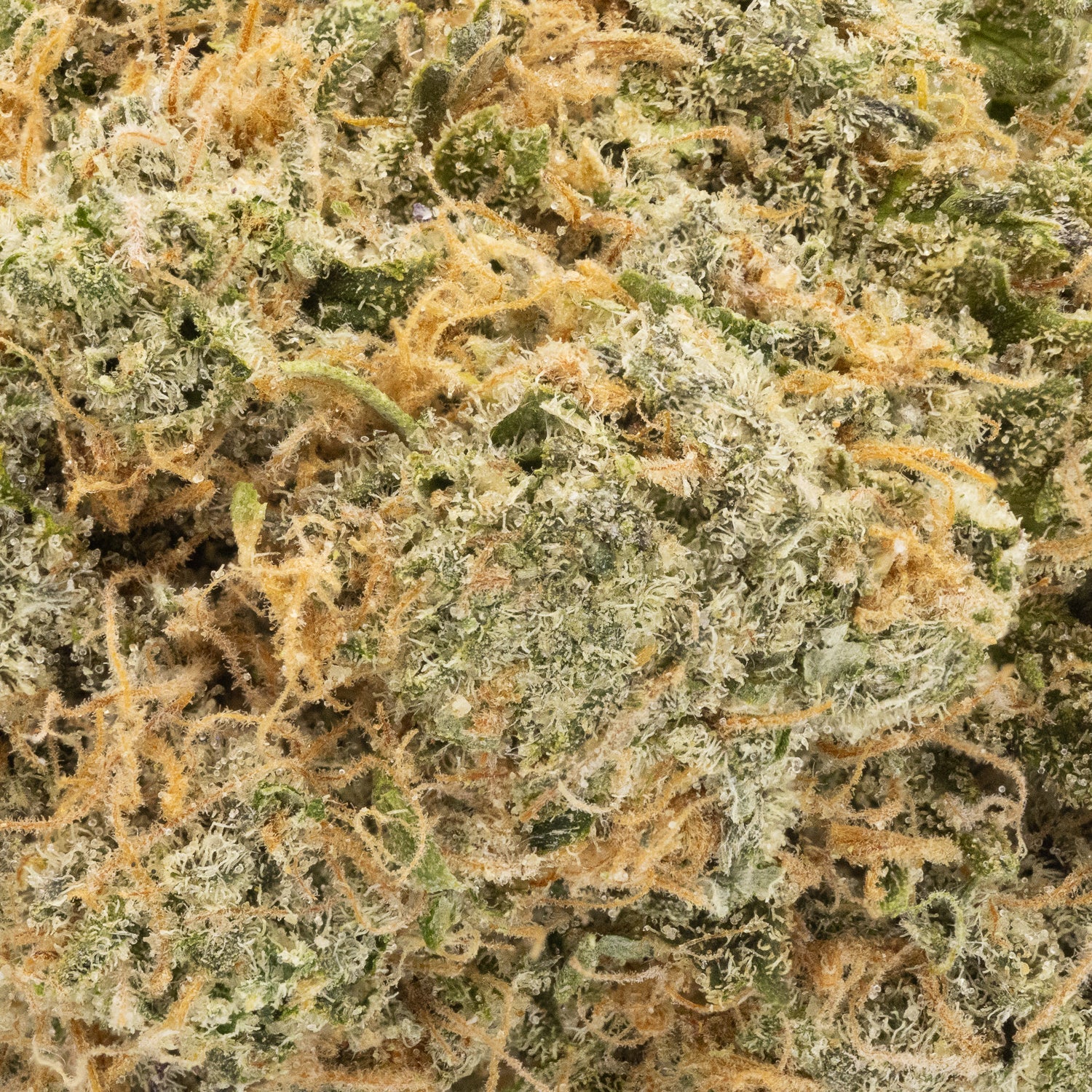 Lucky Farms - Grease Monkey - Image 6