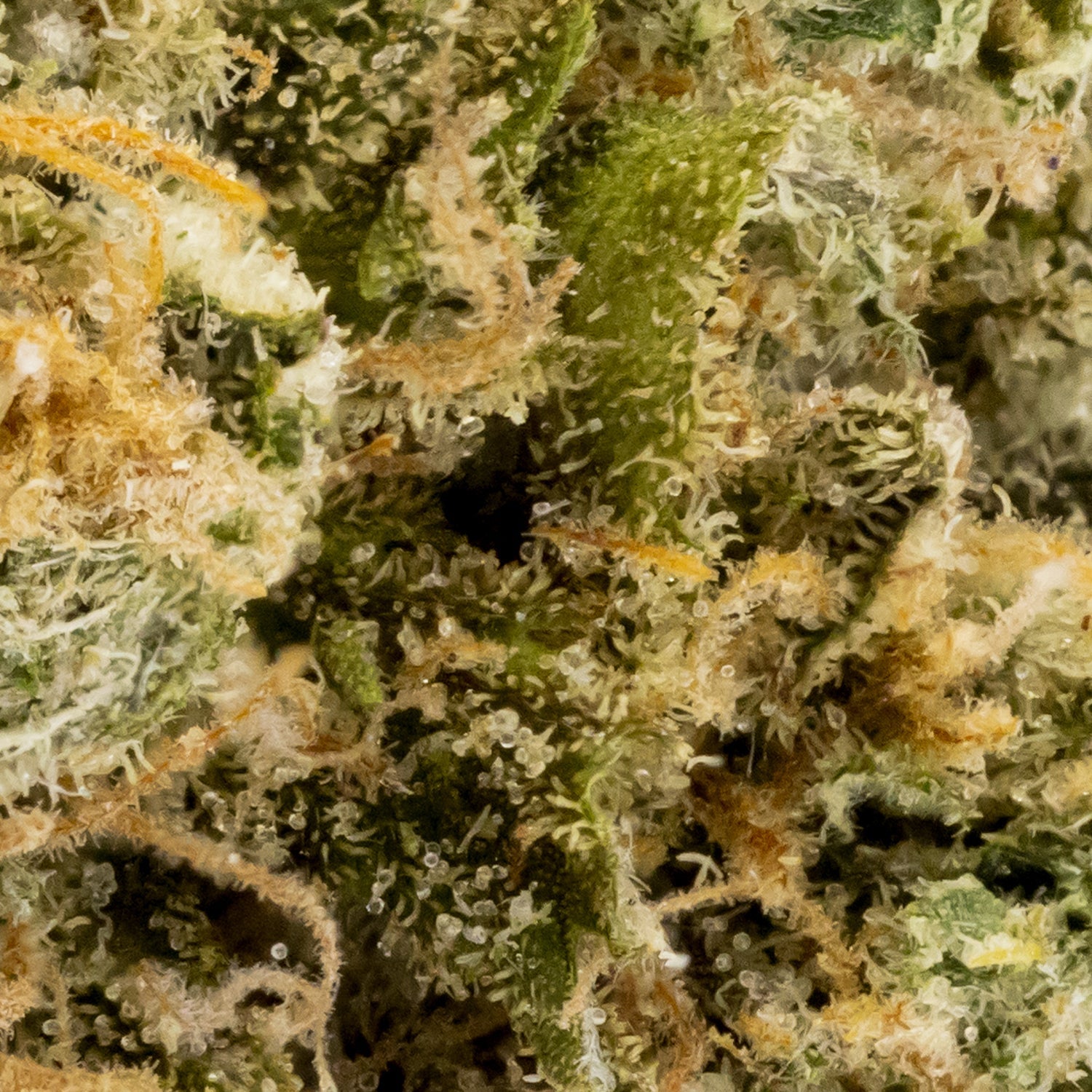Lucky Farms - Grease Monkey - Image 5