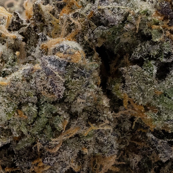 Fun Buds - Gummy Buns - Image 5