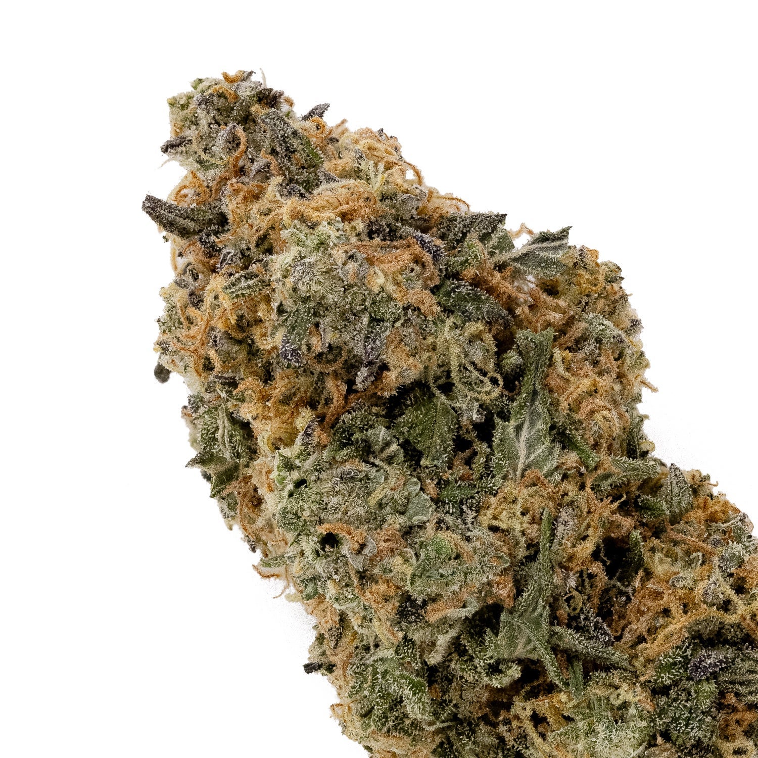Hawaiian Snow (smalls)(Lucky Farms) - Image 2