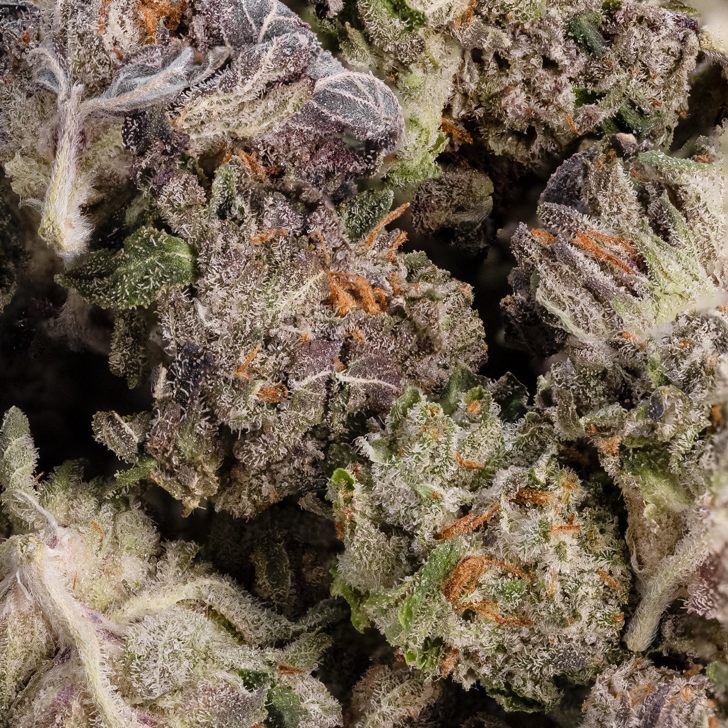 High Octane (smalls) (Lucky Farms) - Image 3