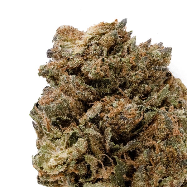 Jungle Kush (Dollar Treez) - Image 2