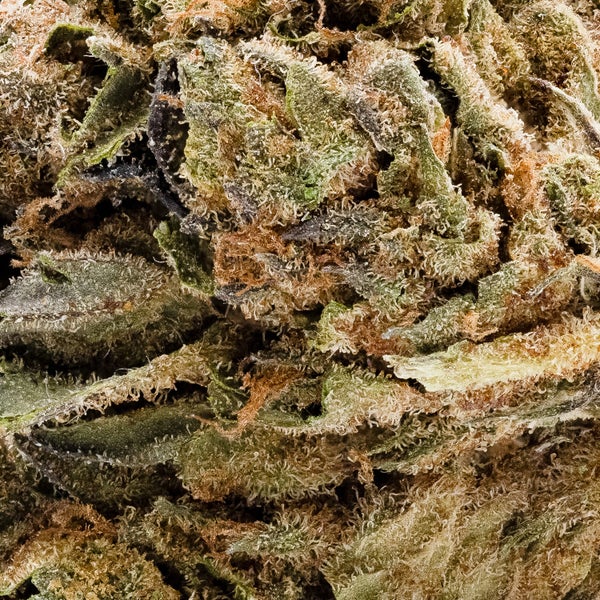 Jungle Kush (Dollar Treez) - Image 3