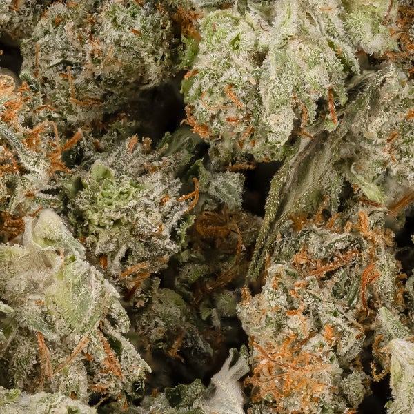 Long Island Pink (smalls) (Lucky Farms) - Image 2