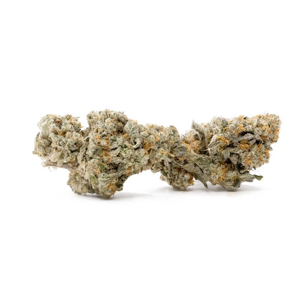 Vibrant Cannabis - Mango Trees - Image 4