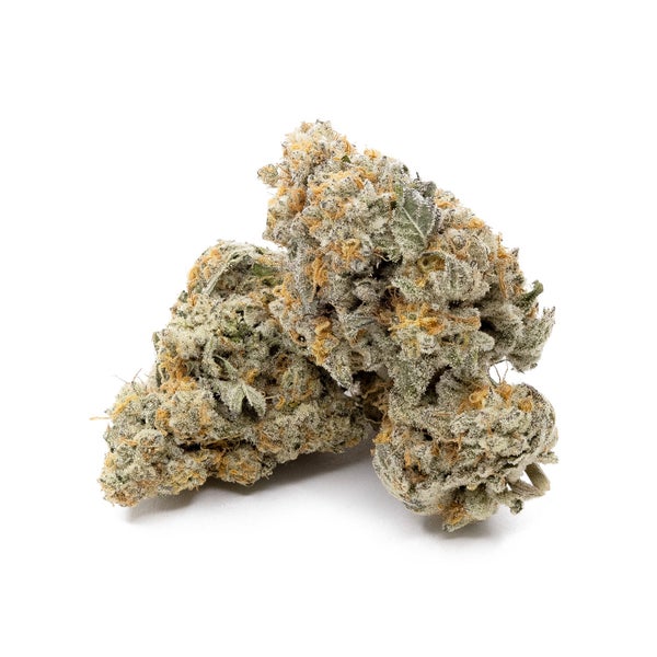 Vibrant Cannabis - Mango Trees - Image 3