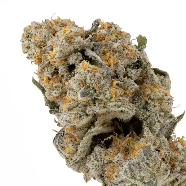 Vibrant Cannabis - Mango Trees - Image 2