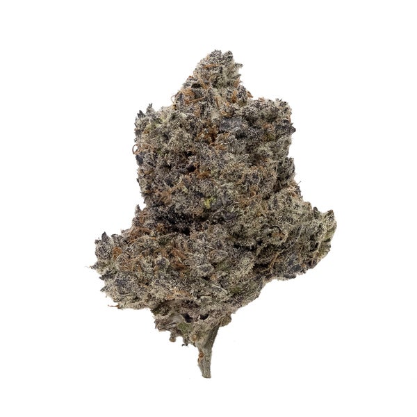 Moon Pie (Jungle Ridge)