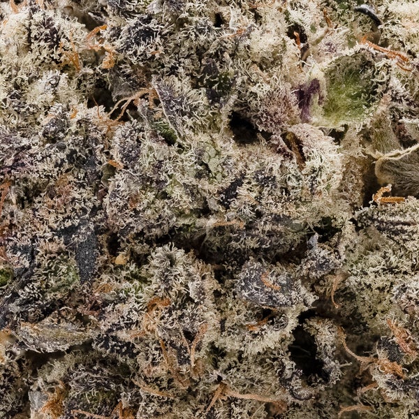 Moon Pie (Jungle Ridge) - Image 5