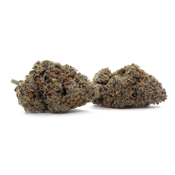 Peanut Butter Cup (Jungle Ridge) - Image 2