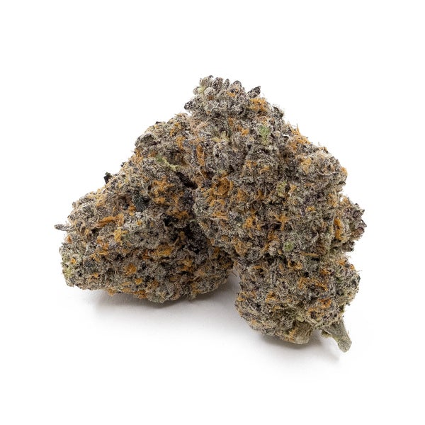 Peanut Butter Cup (Jungle Ridge) - Image 3