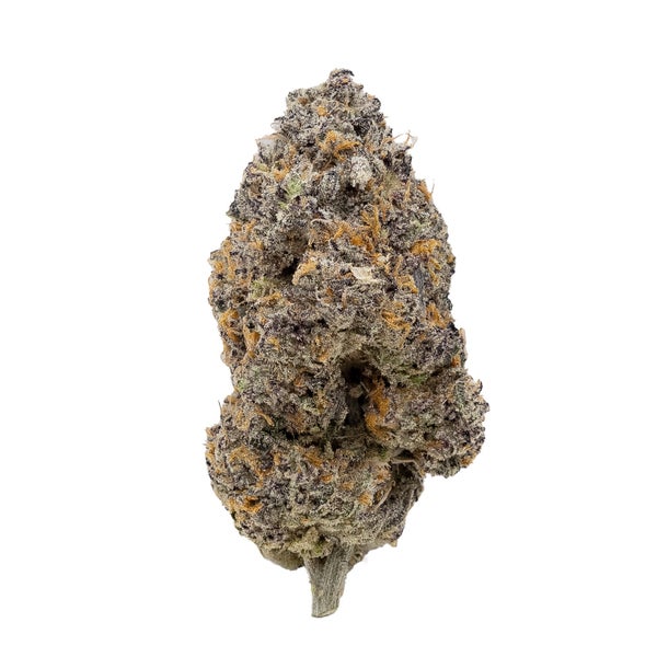 Peanut Butter Cup (Jungle Ridge)