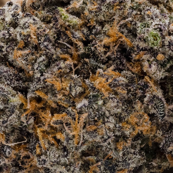 Peanut Butter Cup (Jungle Ridge) - Image 5