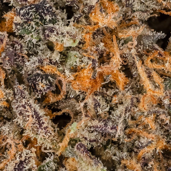 Peanut Butter Cup (Jungle Ridge) - Image 6