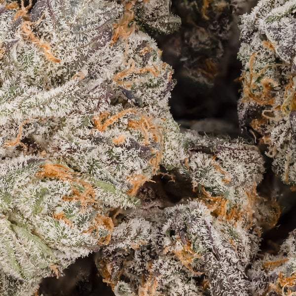 Peanut Butter Rockstar (Smalls) (Lucky Farms) - Image 2
