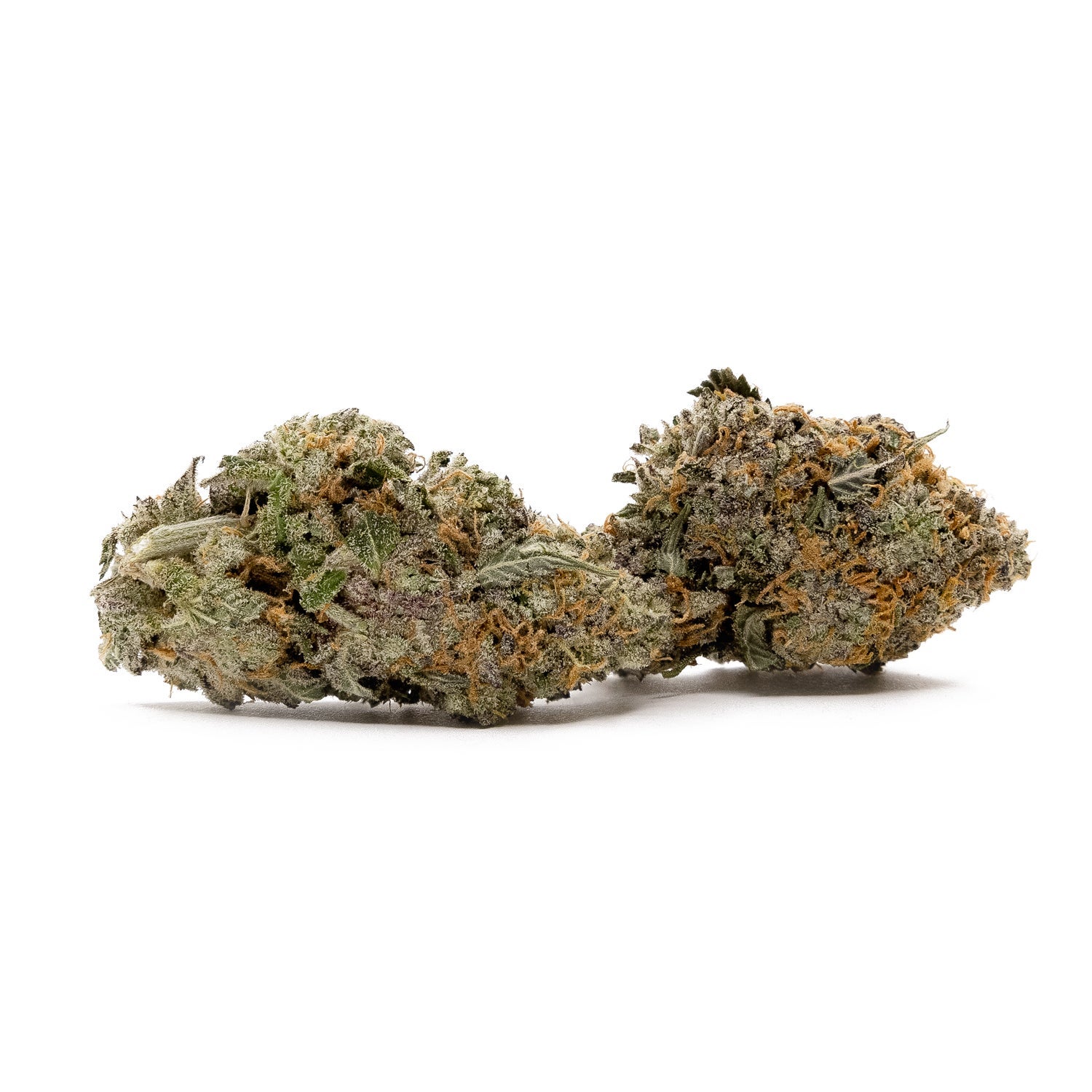 Purple Dolato (smalls)(Lucky Farms) - Image 5