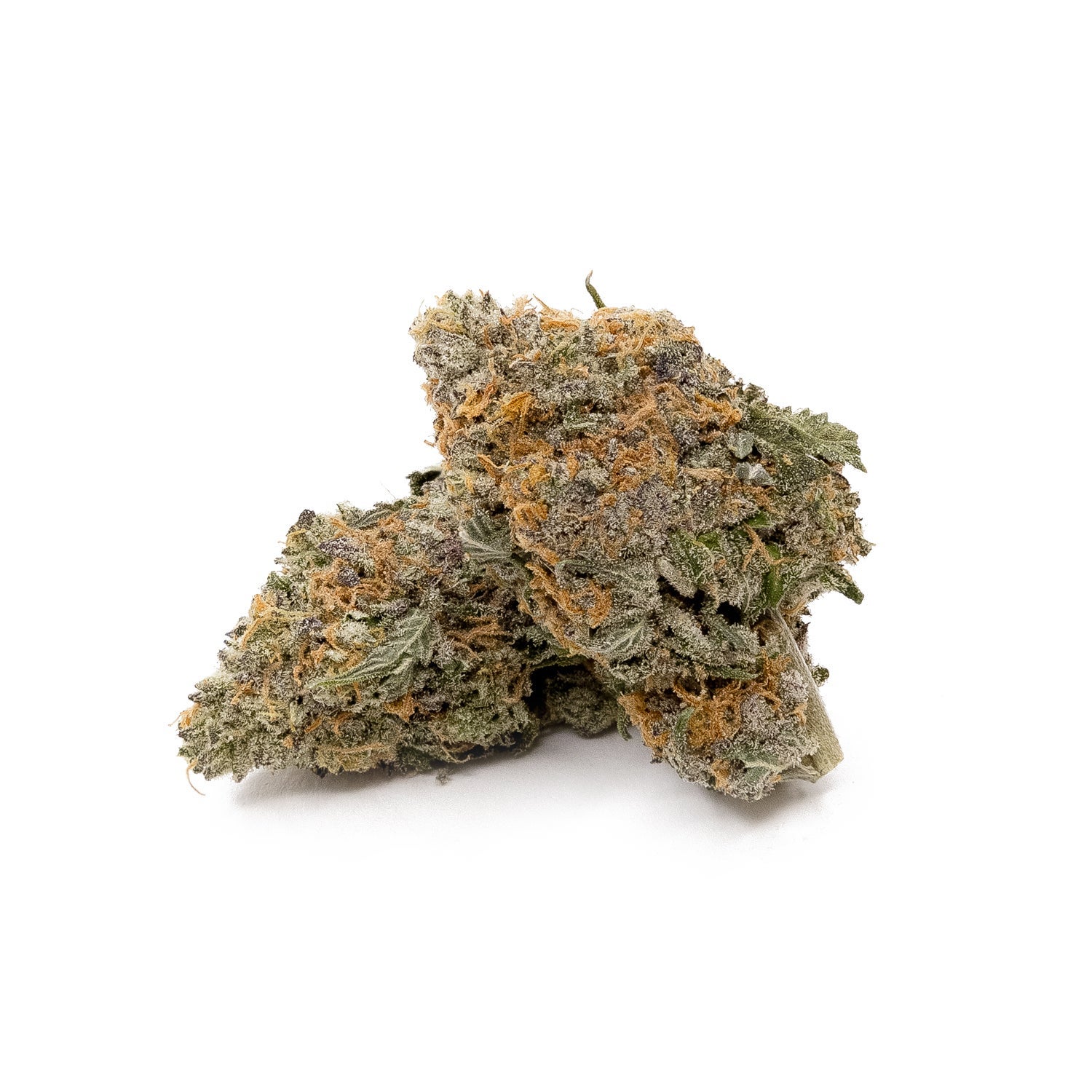 Purple Dolato (smalls)(Lucky Farms) - Image 6