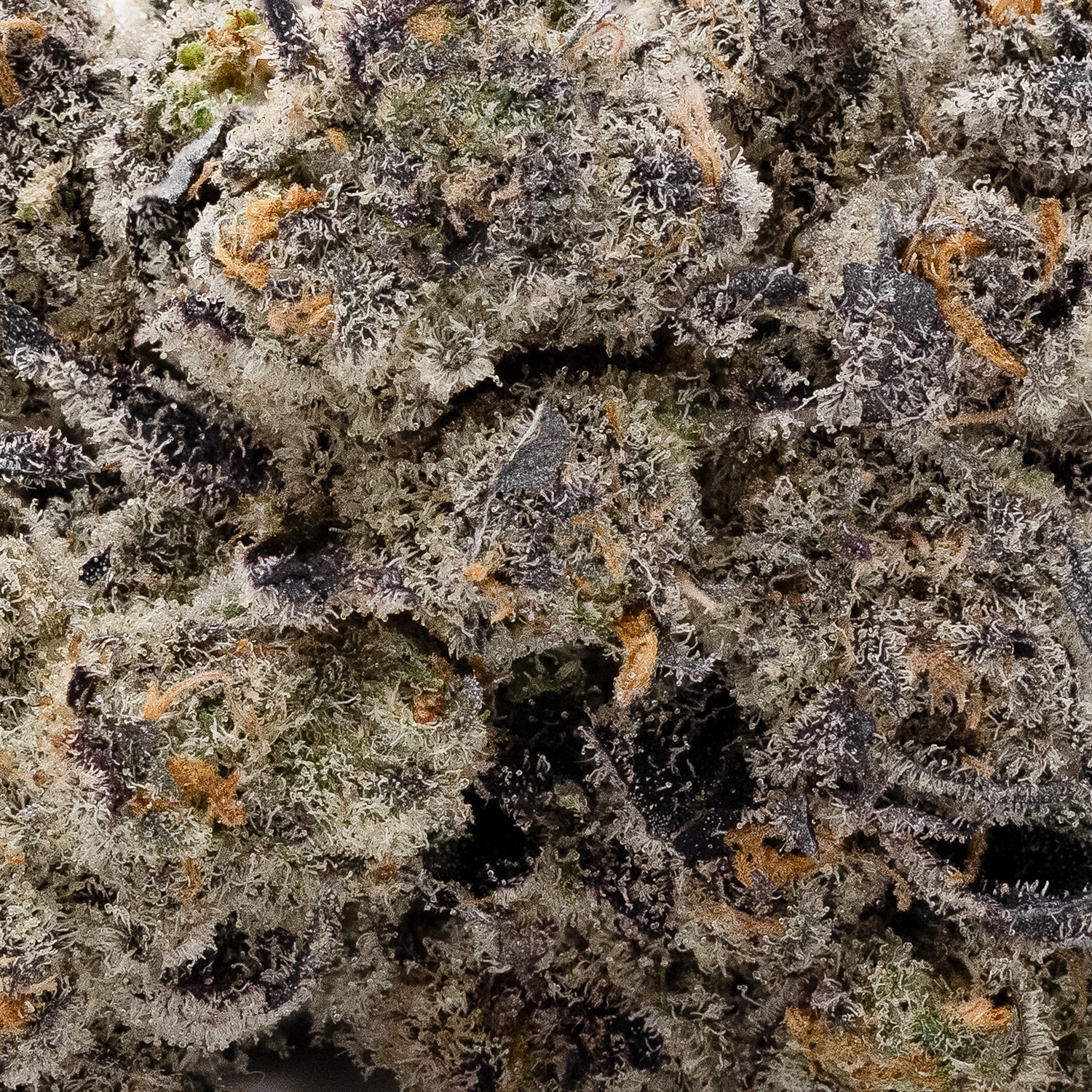 Purple Punch (Super Dank) - Image 3