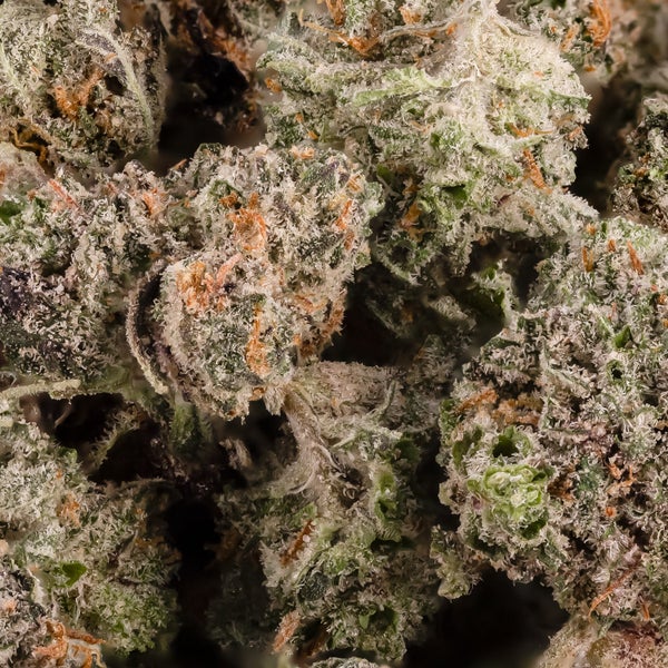 SFV OG (smalls) (Lucky Farms) - Image 2