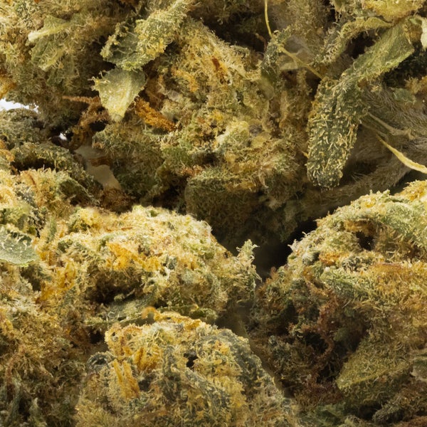 Dollar Treez - Skywalker Kush (Smalls) - Image 2