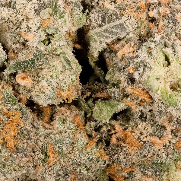 Sour Amnesia (Lucky Farms) - Image 3