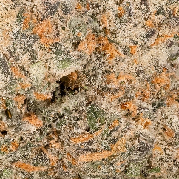 Sour Amnesia (Lucky Farms) - Image 4
