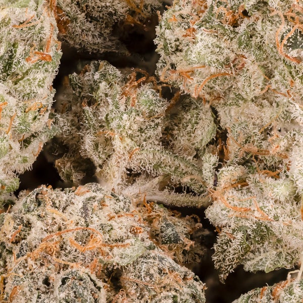Sunset Mandarin (Lucky Farms) - Image 2