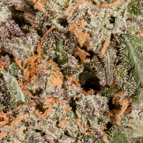 Watermelon Runtz (Lucky Farms) - Image 4