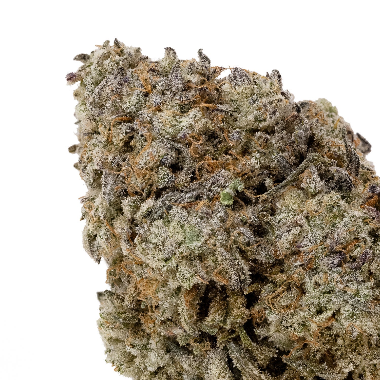 White Lightining (smalls)(Lucky Farms) - Image 2