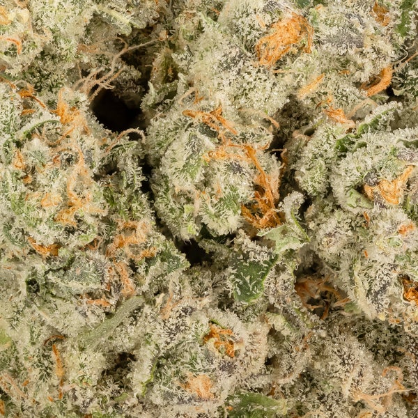 Wifi Cake (Vibrant Cannabis) - Image 3