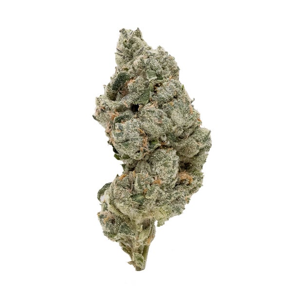 Wifi Cake (Jungle Ridge)