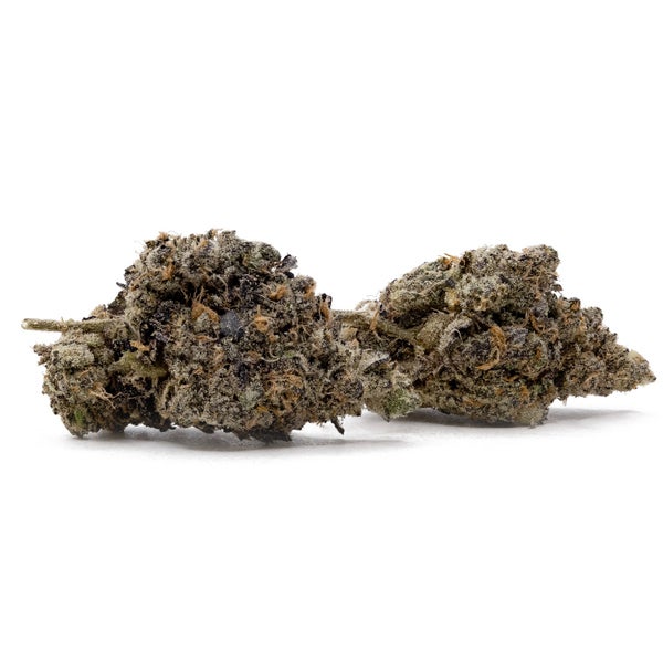 Wojo Mints (Jungle Ridge) - Image 2