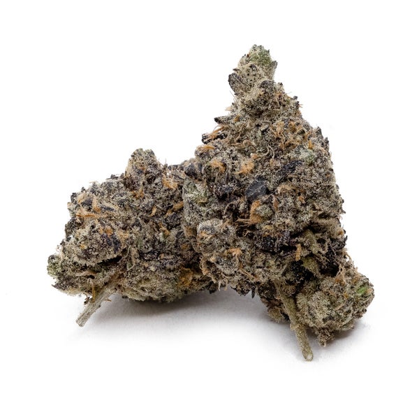Wojo Mints (Jungle Ridge) - Image 3