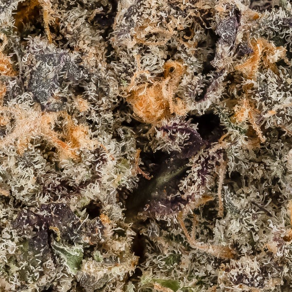 Wojo Mints (Jungle Ridge) - Image 6