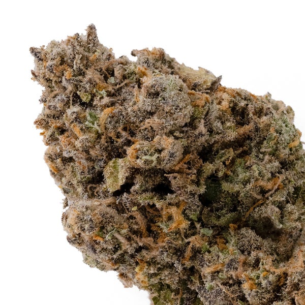 Ya Hemi (Jungle Ridge) - Image 4